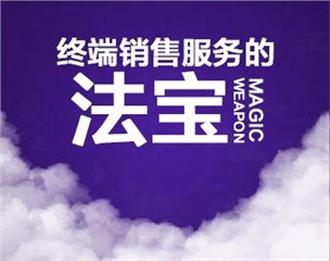 《終端促銷策劃與有效執(zhí)行》