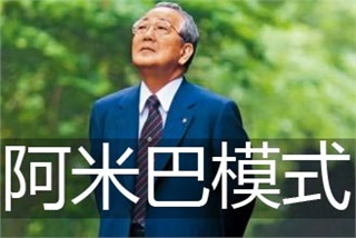 《互聯(lián)網(wǎng)時代—阿米巴經(jīng)營構(gòu)建與實踐》