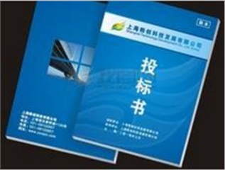 《項目型銷售策略與招投標技巧（2017年新版）》