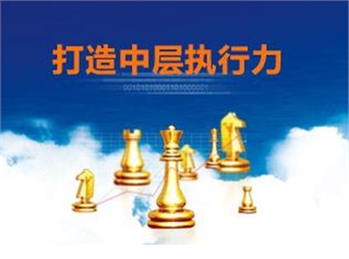 《打造執(zhí)行力的九種方法》