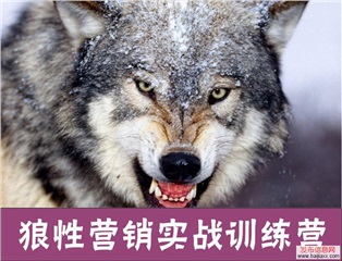 《狼性營銷實戰(zhàn)訓練營》