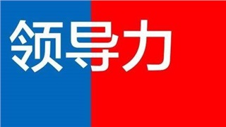 《領(lǐng)導(dǎo)者如何在組織中成就卓越》